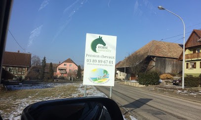 Horse naturally - Pension chevaux - Pferdepension, Pension pour Chevaux à Oltingue