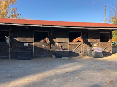 L ETRIER CHIROQUOIS, Centre Equestres à Chilly-Mazarin