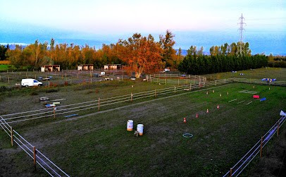 Les Crinières au Naturel, Pension pour Chevaux à Châteauneuf-de-Gadagne