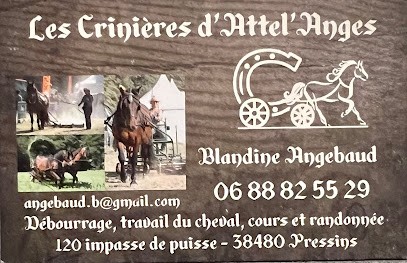 Les Crinières D'attel'anges, Centre Equestres à Pressins