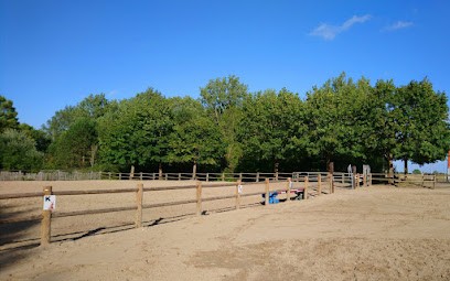 Pony Club De Rombly, Centre Equestres à Étaples