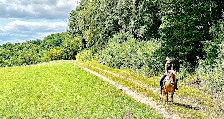 Locacheval, Centre Equestres à Turcey
