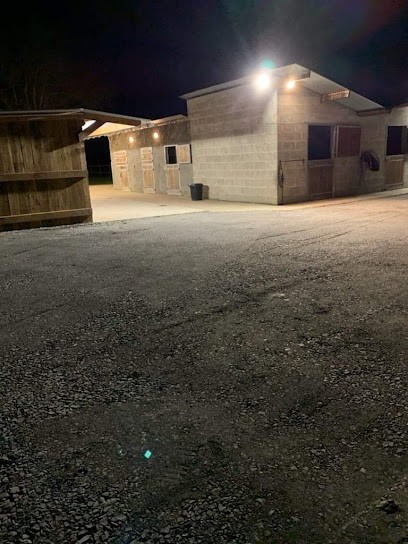 Les Écuries Des Saules, Pension pour Chevaux à Laigné-en-Belin