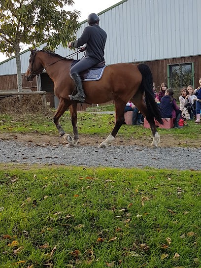 SARL L ETRIER CHOLETAIS, Centre Equestres à Cholet
