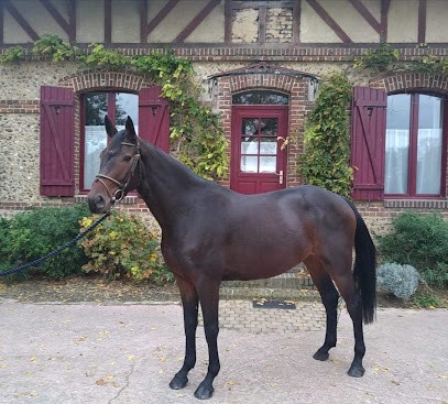 Haras de la rapée, Pension pour Chevaux à Bazincourt-sur-Epte