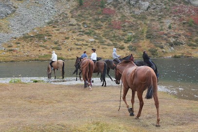 Horseball Saint-Blaise, Centre Equestres à Saint-Blaise
