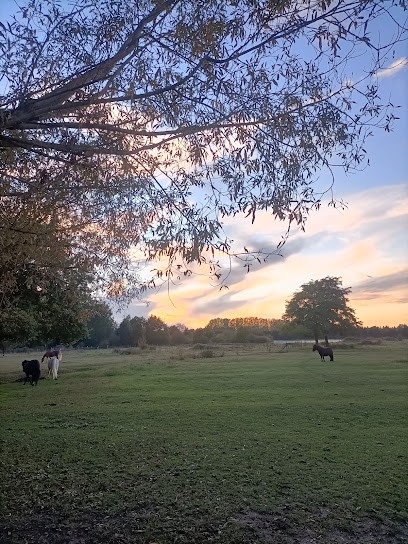 ECURIES DE LA FOUASSERIE, Centre Equestres à Cormeray