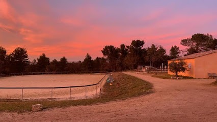 Écurie Stéphanie Arnal (Fontbelle) - Meyrargues, Pension pour Chevaux à Meyrargues