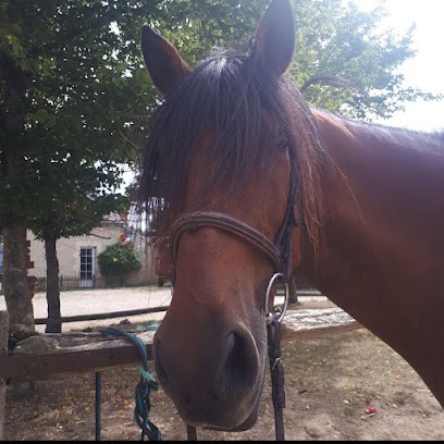CENTRE EQUESTRE DE L EPINEAU, Centre Equestres à Ruffec