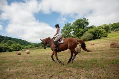 Les Ecuries De Bannés, Centre Equestres à Trémouilles