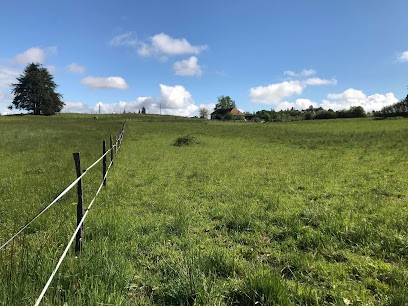 Ecuries de la Louve, Pension pour Chevaux à Belley