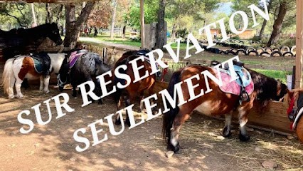 Les Poneys De Provence, Centre Equestres à Lambesc