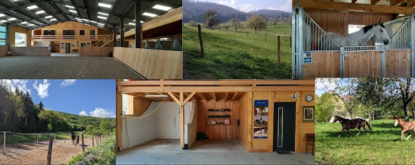 L'Écurie sous la montagne, Pension pour Chevaux à Levoncourt