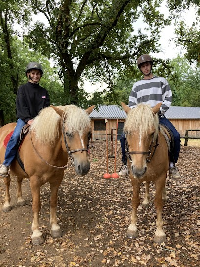 L'étrier De Vitrac, Centre Equestres à Vitrac