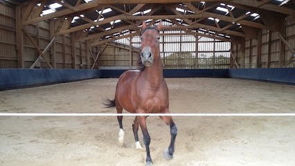 Ecuries Des Moulins, Centre Equestres à La Baume-Cornillane