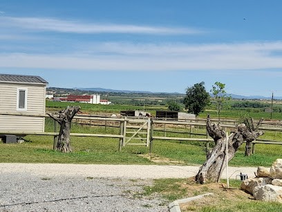 Ecurie Adrien Dias, Centre Equestres à Saint-Thibéry
