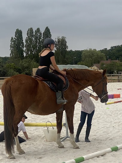 EARL ÉCURIE DAUCOURT JULIE, Centre Equestres au Lesme