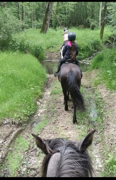 Écuries Du Bien être, Centre Equestres à Morlac