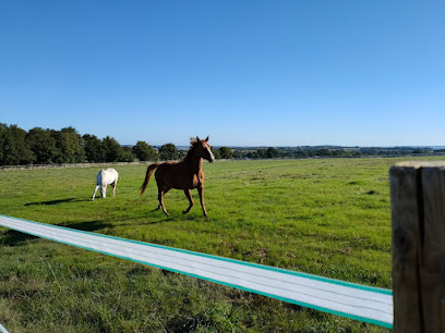 Domaine Du Val Pendragon, Pension Pour Chevaux à Muel