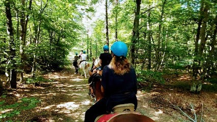 L'equimargeride, Centre Equestres à Thoras