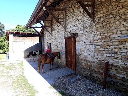EQUID PASSION A BY, Centre Equestres à Courtenay