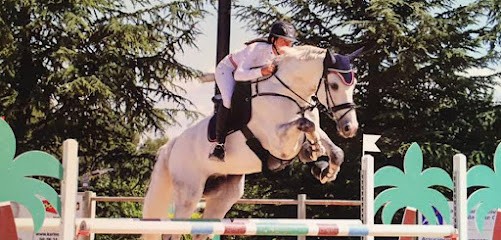 Ferrini Julien, Pension pour Chevaux à Teyran