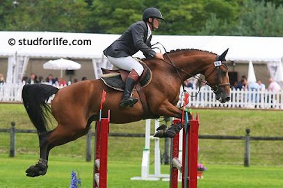 Ecurie Thierry Klein, Centre Equestres à Tonnoy