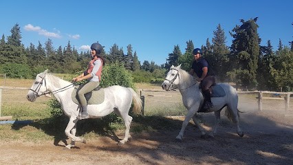 Stud De Lagnes, Centre Equestres à Lagnes