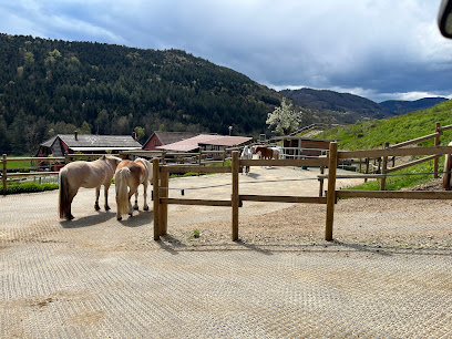 La Ferme Du Poney Roi, Pension Pour Chevaux à Maisonsgoutte