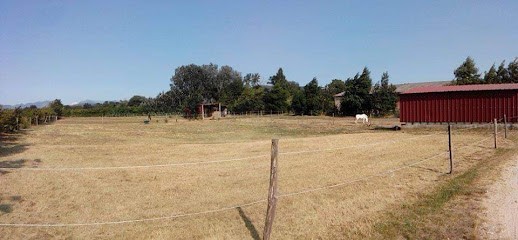 Haras De Fontemieu, Centre Equestres à Saint-Gervais-sur-Roubion