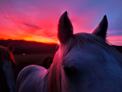 An Oriant Riding, Centre Equestres à Inzinzac-Lochrist