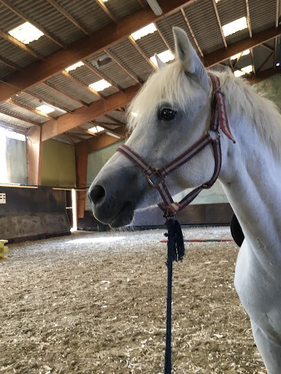 ETRIER DE BOURGOGNE, Centre Equestres à Dijon