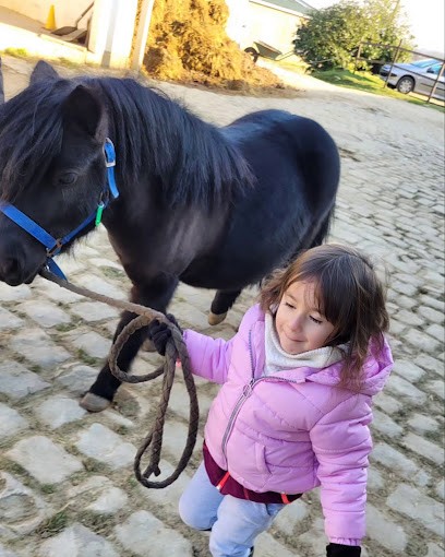 Pony Club La Marfee, Centre Equestres à Sedan