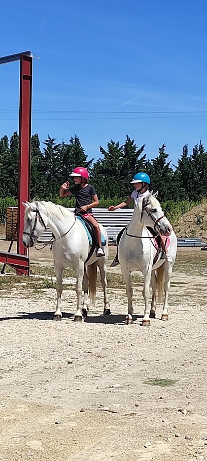 Les Ecuries du Grand Valat, Pension pour Chevaux à Jonquières-Saint-Vincent