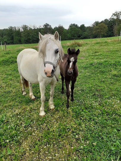 EARL PONEY CLUB DU GRES ROSE, Centre Equestres à Vesdun