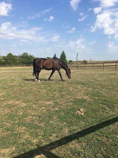Equestrian Center Livilliers, Centre Equestres à Livilliers