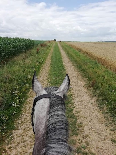 ECURIE DU MANOIR, Centre Equestres à Maisnil