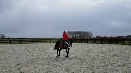 Haras de Lannay, Pension pour Chevaux à Mouchin
