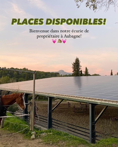 Elevage de Premol, Pension pour Chevaux à Aubagne