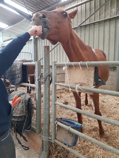 Écurie De Vopale, Centre Equestres à Collemiers