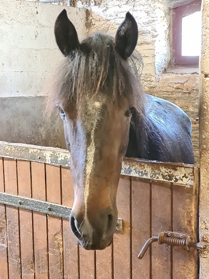 ETRIER DU VAL CHEVRIER, Centre Equestres à Val d'Oust