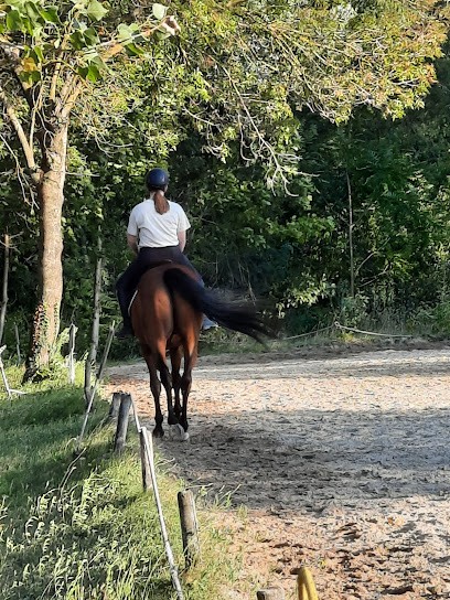DOMAINE EQUESTRE DU MOULIN, Centre Equestres à La Bâtie-Rolland