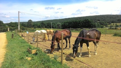 Centre Equestre Des Esses, Centre Equestres à Montmeyan