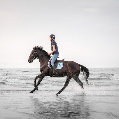 Les Crins De La Baie, Centre Equestres à Merville-Franceville-Plage