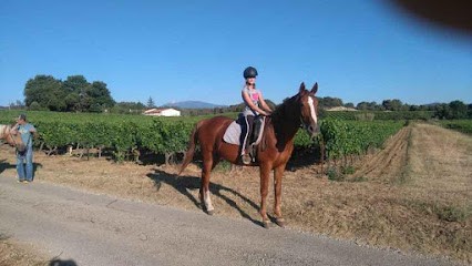 Dieu David, Centre Equestres à Villedieu