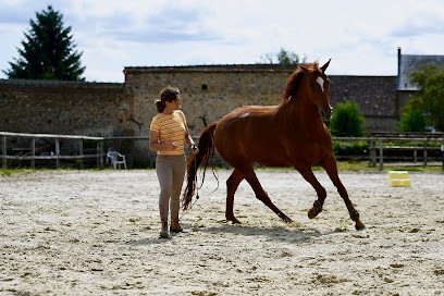 Les Ecuries D'am, Centre Equestres à Crulai