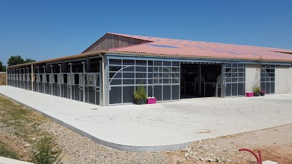 Equestrian Center De La Roche, Centre Equestres à Saint-Marcellin-en-Forez