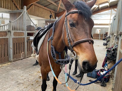 Les Ecuries De Payns, Centre Equestres à Payns