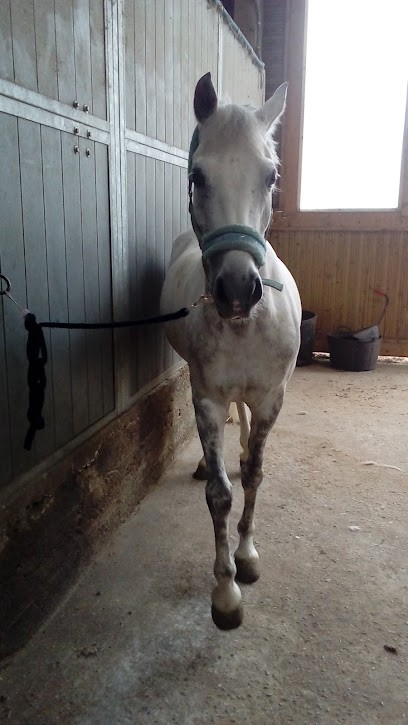 Ecuries De Laude, Centre Equestres à Manneville-sur-Risle