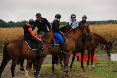 Ecurie Des Palissades, Centre Equestres à Pers-en-Gâtinais